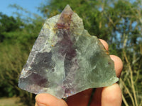 Polished Semi Translucent Watermelon Fluorite Slices x 2 From Namibia - TopRock