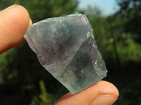 Polished Semi Translucent Watermelon Fluorite Slices x 2 From Namibia - TopRock