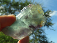 Polished Semi Translucent Watermelon Fluorite Slices x 2 From Namibia - TopRock