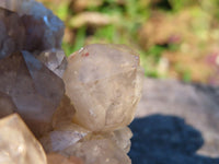 Natural Smokey Phantom Quartz Cluster x 1 From Lwena, Congo - TopRock