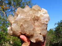 Natural Smokey Phantom Quartz Cluster x 1 From Lwena, Congo - TopRock