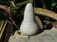 Polished Vegetable Carvings x 2 Butternut (Marble) & An African Butter jade Pumpkin x 3 From Zimbabwe - TopRock