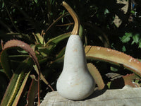 Polished Vegetable Carvings x 2 Butternut (Marble) & An African Butter jade Pumpkin x 3 From Zimbabwe - TopRock