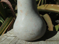 Polished Vegetable Carvings x 2 Butternut (Marble) & An African Butter jade Pumpkin x 3 From Zimbabwe - TopRock