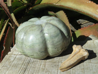 Polished Vegetable Carvings x 2 Butternut (Marble) & An African Butter jade Pumpkin x 3 From Zimbabwe - TopRock