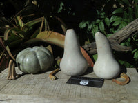 Polished Vegetable Carvings x 2 Butternut (Marble) & An African Butter jade Pumpkin x 3 From Zimbabwe - TopRock