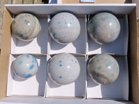 Polished Blue Spotted Spinel Spheres x 6 From Ambatofinadrahana, Madagascar - TopRock