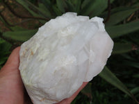 Natural Snow White Madagascar Quartz Cluster x 1 From Madagascar - TopRock