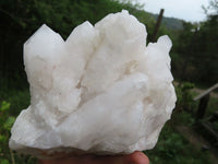 Natural Snow White Madagascar Quartz Cluster x 1 From Madagascar - TopRock