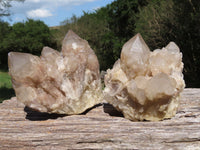 Natural Smokey Cascading Phantom Quartz Clusters x 2 From Luena, Congo - TopRock