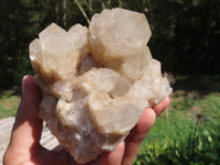 Natural Smokey Cascading Phantom Quartz Clusters x 2 From Luena, Congo - TopRock