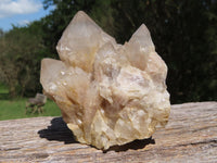 Natural Smokey Cascading Phantom Quartz Clusters x 2 From Luena, Congo - TopRock