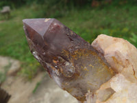 Natural Red Hematoid Quartz Clusters x 3 From Karoi, Zimbabwe - TopRock