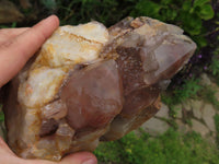 Natural Red Hematoid Quartz Clusters x 3 From Karoi, Zimbabwe - TopRock