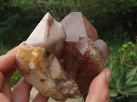 Natural Red Hematoid Quartz Clusters x 3 From Karoi, Zimbabwe - TopRock