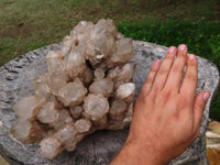 Natural White Phantom Cascading Smokey Lwena Quartz Cluster x 1 From Lwena, Congo - TopRock