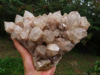 Natural White Phantom Cascading Smokey Lwena Quartz Cluster x 1 From Lwena, Congo - TopRock