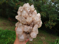 Natural White Phantom Cascading Smokey Lwena Quartz Cluster x 1 From Lwena, Congo - TopRock