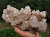 Natural White Phantom Cascading Smokey Lwena Quartz Cluster x 1 From Lwena, Congo - TopRock