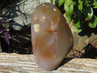 Polished Coral Flower Agate Standing Free Forms x 3 From Madagascar - TopRock