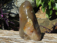 Polished Coral Flower Agate Standing Free Forms x 3 From Madagascar - TopRock