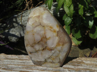 Polished Coral Flower Agate Standing Free Forms x 3 From Madagascar - TopRock