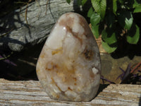 Polished Coral Flower Agate Standing Free Forms x 3 From Madagascar - TopRock