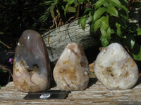 Polished Coral Flower Agate Standing Free Forms x 3 From Madagascar - TopRock