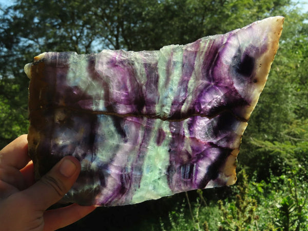 Polished Semi Translucent Watermelon Fluorite Slices x 3 From Uis, Namibia - TopRock