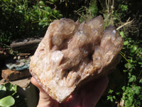 Natural Smokey Phantom Clusters x 2 From Lwena, Congo - TopRock