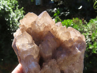 Natural Smokey Phantom Clusters x 2 From Lwena, Congo - TopRock