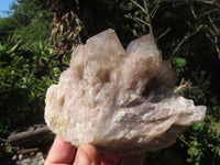 Natural Smokey Phantom Clusters x 2 From Lwena, Congo - TopRock