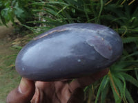 Polished Large lepidolite Lithium Mica Semi Gemmy Free Forms x 2 From Zimbabwe - TopRock