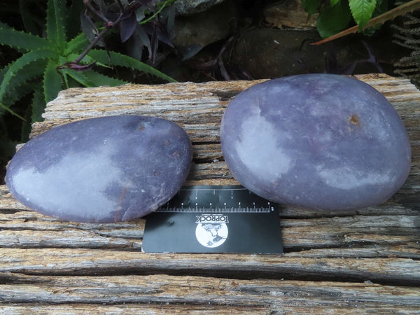 Polished Large lepidolite Lithium Mica Semi Gemmy Free Forms x 2 From Zimbabwe - TopRock