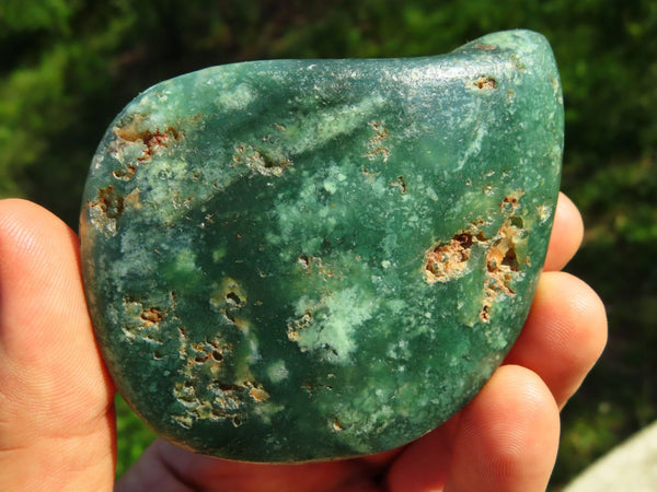 Polished Rare Expensive Mtorolite Emerald Green Free Forms x 12 From Zimbabwe - TopRock