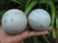 Polished Blue Spotted Spinel Spheres x 2 From Madagascar - TopRock