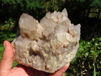 Natural Smokey Phantom Clusters One Very Good Grade Smaller One Low Grade x 2 From Lwena, Congo - TopRock