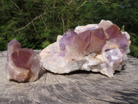 Natural Small Haematoid Zambian Amethyst Crystal Clusters x 2 From Mumbwe, Zambia - TopRock