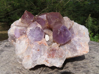 Natural Small Haematoid Zambian Amethyst Crystal Clusters x 2 From Mumbwe, Zambia - TopRock