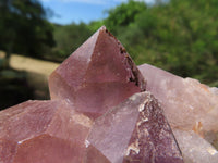 Natural Small Haematoid Zambian Amethyst Crystal Clusters x 2 From Mumbwe, Zambia - TopRock