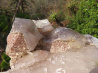 Natural Red Hematoid Quartz Cluster x 1 From Karoi, Zimbabwe - TopRock