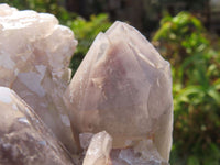 Natural Red Hematoid Quartz Cluster x 1 From Karoi, Zimbabwe - TopRock