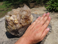 Natural Large Smokey Phantom Cluster x 1 From Lwena, Congo - TopRock