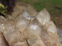 Natural Large Smokey Phantom Cluster x 1 From Lwena, Congo - TopRock