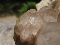 Natural Large Smokey Phantom Cluster x 1 From Lwena, Congo - TopRock