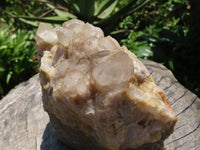 Natural Large Smokey Phantom Cluster x 1 From Lwena, Congo - TopRock