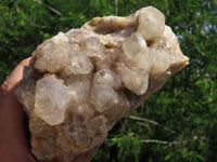 Natural Large Smokey Phantom Cluster x 1 From Lwena, Congo - TopRock