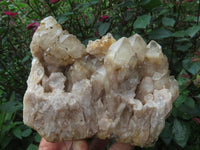 Natural Smokey Phantom Quartz Clusters x 2 From Lwena, Congo - TopRock