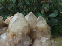 Natural Smokey Phantom Quartz Clusters x 2 From Lwena, Congo - TopRock