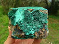 Natural Drusy Crystalline Malachite on Matrix Specimens x 2 From Tenke, Congo - TopRock